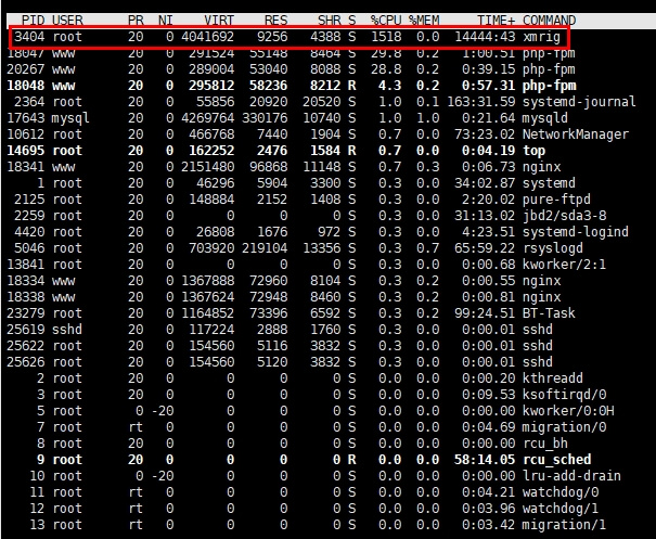 linux站群服务器中招了，xmrig进程占用CPU100%