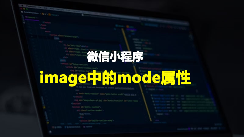 用实例解析微信小程序中image的mode属性的基础知识和应用